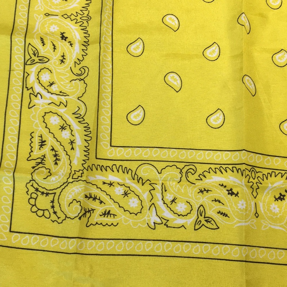 Bandana - Picture 4 of 5